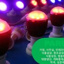 식물재배용LED (실내에서 식물은 키운다) 이미지