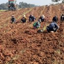 해찬농장 이미지