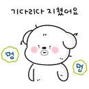 동암동물병원 이미지