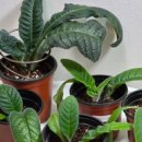 행복나눔 이미지