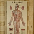 중국전통 - 사하구 낙동남로1423번길 76 | 동탄 반송동 스포츠 전신 량즈 중국 전통 마사지 후기