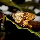 아카시아병원 이미지