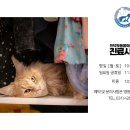 인덕원동물의료센터 이미지