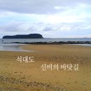 솔섬 이미지
