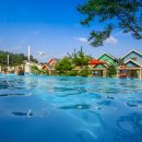 파트라슈 애견 펜션 이미지