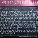 선읍리입상석불 이미지