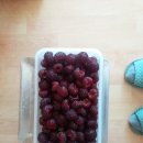 무공해 산딸기 복분자.앵두 판매 이미지