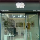 고양이집:고집 | 대구 달서구 고양이 미용 두마리/ 다묘가정 무마취 미용 후기 - 뽀솜뽀솜