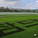 경기도 종자관리소 이미지