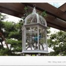 파랑새장 이미지