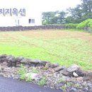 월령리[동] Daum카페