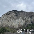 제주 산방산 암벽식물지대 | 산방산 제주서귀포 가볼만한곳 | 산방굴사 산방사 입장료 소요시간 여행코스