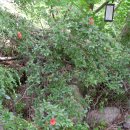 홍류동 화장실 이미지