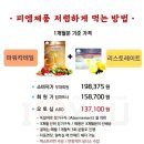 독일피엠 이미지