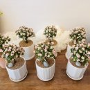 신월동176 이미지