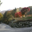 대운산자연휴양림(양산) 이미지