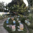 팡팡랜드 이미지