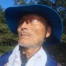 갈맷길(4-3구간) 이미지