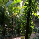 황제 펫 이미지