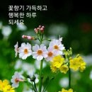 행복한 하루 이미지