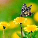 열린가족조산원 이미지