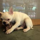 오키도기 이미지