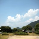 들꽃카페 Daum카페