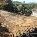 내곡동463 이미지