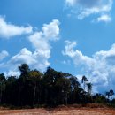 김재호 농장 이미지