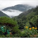 양지민박 이미지