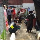 진영농장 | 인천 주안동 유기견보호소 봉활(특봉) 후기 뒷풀이로 월미도마실에 신포 닭강정까지!!