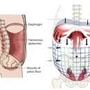 바를정핏PT 이미지