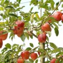 백천1동 이미지