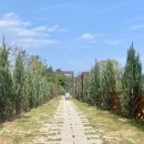 W181오션스테이 이미지