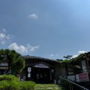 홍화약초식당 이미지