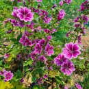 두모경로당 이미지