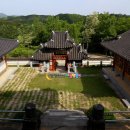 임실덕천리가침박달군락 이미지