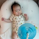 베이비프라임 | 일본 아마존 재팬 베이비뵨 바운서 직구 방법 가격 직배송 기간 | 라쿠라쿠 베이비 프라임 회원 가입