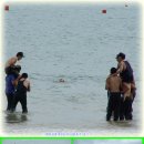 미리보는 전국노래자랑 풍경 완도명사십리(펌) 이미지