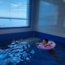 경주 감포트라제2 이미지