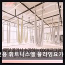 원격대학형태 | 일산 헬스장 여성전용 휘트니스엘 플라잉요가 헬스 PT 일산주엽역점 여성 맞춤 운동 집중 공간