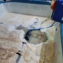 (주)세정기업 이미지