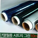 에버그린 이미지