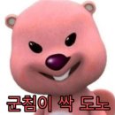 문정정육