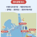 썬대교 어린이집 | 바다 위에서 즐기는 힐링 타임, 부산 요트투어 후기 ⛵️