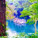 동신3차아파트 앞 이미지