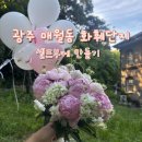 광주 셀프부케 매월동 꽃시장 원예농협 화훼공판장 토요일 방문 후기