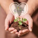 숲스토리 시장점 이미지