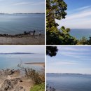 대부낙조 이미지