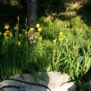 정남진휴랜드관광농원 이미지